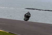 PJ-Motorsport-2019;anglesey-no-limits-trackday;anglesey-photographs;anglesey-trackday-photographs;enduro-digital-images;event-digital-images;eventdigitalimages;no-limits-trackdays;peter-wileman-photography;racing-digital-images;trac-mon;trackday-digital-images;trackday-photos;ty-croes